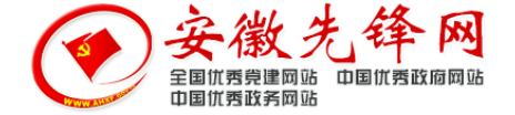 安徽先鋒網